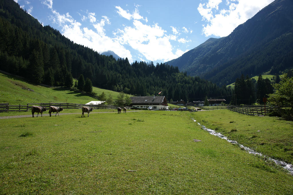Villa Doadlerhof à Neustift im Stubaital Extérieur photo