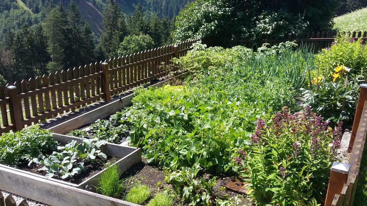 Villa Doadlerhof à Neustift im Stubaital Extérieur photo